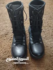  10 موجودات اربد حكما  كلهم وكاله
