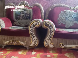  2 تخم قنفات تسكام