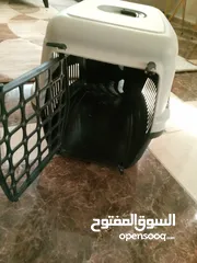  4 اكسسوارات قطط