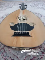  1 عود تركي للبيع