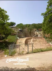  2 ارض ابو السوس الرجاحة