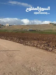  2 للبيع قطعة ارض بلعما - الزيتونة
