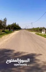  4 ارض في مادبا للبيع