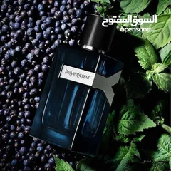  13 عطور أصيله و كوبي