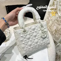  1 Lady Dians bag from Dior - شنط الليدي ديانا من ديور