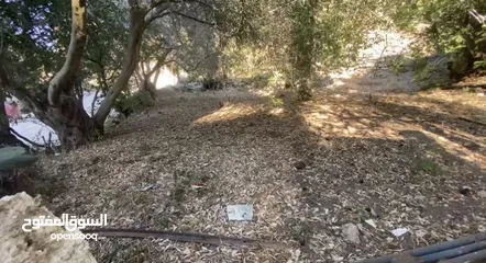  3 ارض مساحة 200 متر بسعر لا يعوض