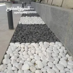  10 نجيل طبيعي ونجيل ديكوندرا