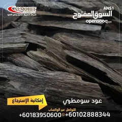  3 عود طبيعي سومطري اندونيسي فاخر