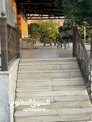  17 مزرعة للإيجار للعائلات فقط في عمان,تركي مطلة على البحر الميت و الضفة الغربية