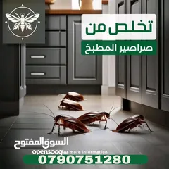  6 رش حشرات للمنازل والمحلات مع ضمان النتيجة وسرعة الاستجابة وكفالة