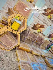  1 مطلوب طيور بدل على عسل