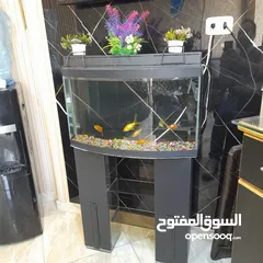  1 حوض سمك للبيع