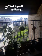  1 شقه للبيع او البدل