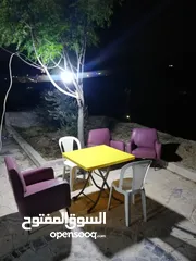  30 مزرعه للبيع
