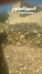  4 بيع جميع انواع الشجر وحطب المواقد والصوبات
