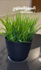 13 شجر ونباتات اصطناعي بطابع الطبيعي