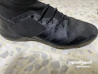  5 اديداس بريداتور نمرة 44-43.5/ adidas  / لون اسود predator 20.3 indoor/ نضيف بحالة الوكالة استخدام