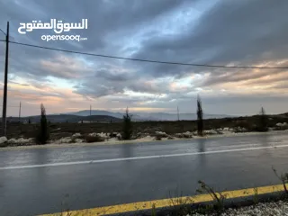  5 ارض اجنسنيا طابو