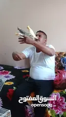  3 كوكاتيل اليفين جداا