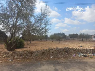  6 أرض مساحة 7 دونم في وسط دير غسانة وعلى ثلاثة شوارع