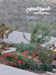 5 بيت. مستقل طابقين. اطلاله. رائعه تشطيب سوبر ديلوكس طابو