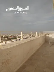  11 روف فاضي للايجار