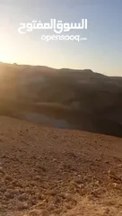  3 ارض للبيع فيب بيت لحم  منطقة الشواورة العكاش 9 دنم