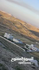 3 ارض جريبا اسكان المعلمين بجانب اسكان الهاشميه قريب من منطقه شفى بدران