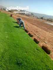  10 نجيل طبيعي وصناعي