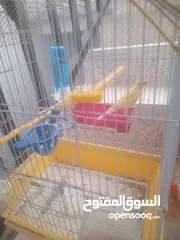  2 مخاليف كنار عدد 10