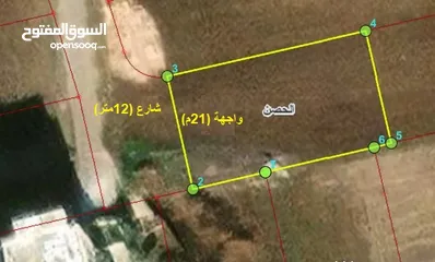  1 ارض 736م من اراضي الصحن حوص دبات ابو النصر غرب طريق اربد عمان