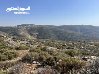  4 ارض مميزة للبيع في تلال عبوين وسنجل (تلال غرابة)