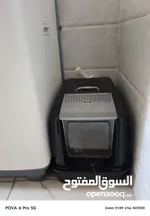  10 سكوتس ستريت ذكر وانثى  الانثى البيضه والذكر السكني ماخدين حبه الدوووود‪