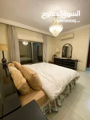  20 شقة مفروشة فاخرة اعلان رقم (S41)