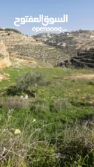  11 قطعة نص دونم دورا