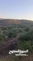  5 ارض للبيع بسعر مميز