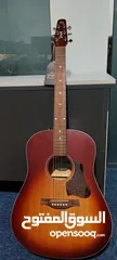  1 Seagull Entourage Autumn Burst Acoustic guitar – For Sale/Trade to any electronic items