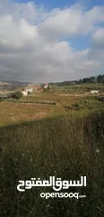  2 ارض سكني للبيع بالكفور جنوب لبنان
