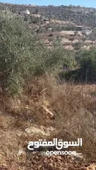  3 ارض بناء 680 م مقابل مسبح كوبر .واصلها كل الخدمات ومرتفعة