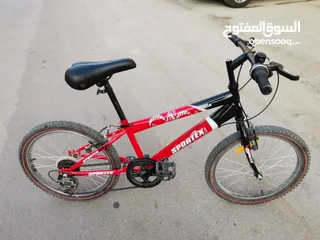  5 Sportex bike