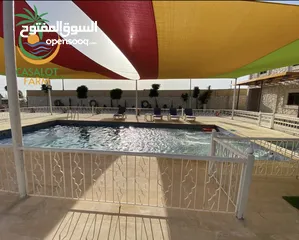  3 بيت مستقل شاليه ومزرعه للايجار السنوي