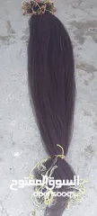  13 تنظيف البرك من الاسماك والطحالب.  صيد السمك وفرزه  ونقله باستخدام شبكات. الجرف لجميع الاسماك