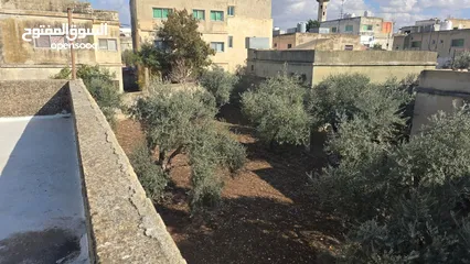  1 منزل للبيع