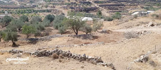  2 ارض مناسبة للبناء او الاستثمار او الزراعه
