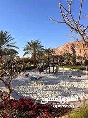  4 شاليه في العقبة alraha Chalet for rent aqaba  تالابيه Talabay