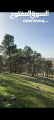  1 ارض مميزه للبيع  3 دونمات ونصف ارض مرتفعه مطله منطقه امنه  قطعة الارض تصلح  لبناء مزرعة او شاليه