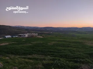  6 اراضي استثمارية محيط مدينة نابلس