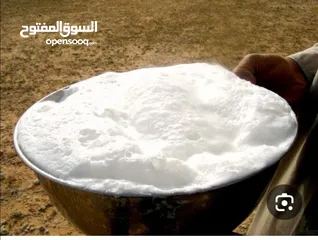  1 حليب ابل طبيعي ونظيف في الرياض