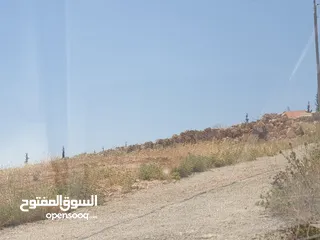  8 خمس دونمات في بيرين على شارعين بسعر مغري لفيلا او مزرعة