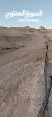  1 ارض للبيع دار صلاح